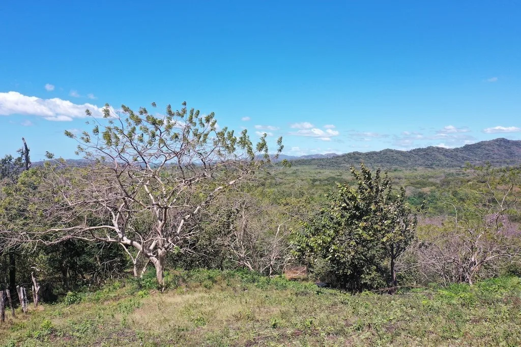 7.1 hectares lot with amazing ocean view, photo 2