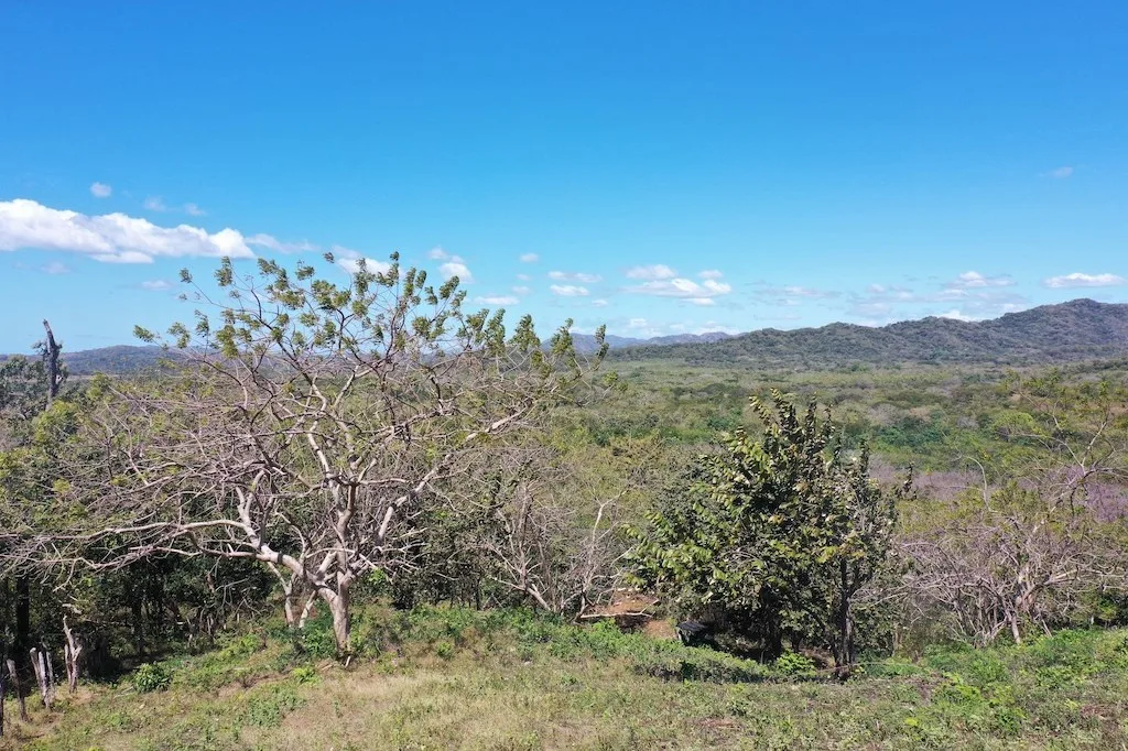 7.1 hectares lot with amazing ocean view, photo 3