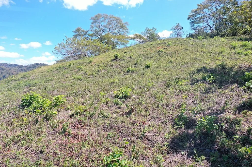 7.1 hectares lot with amazing ocean view, photo 4