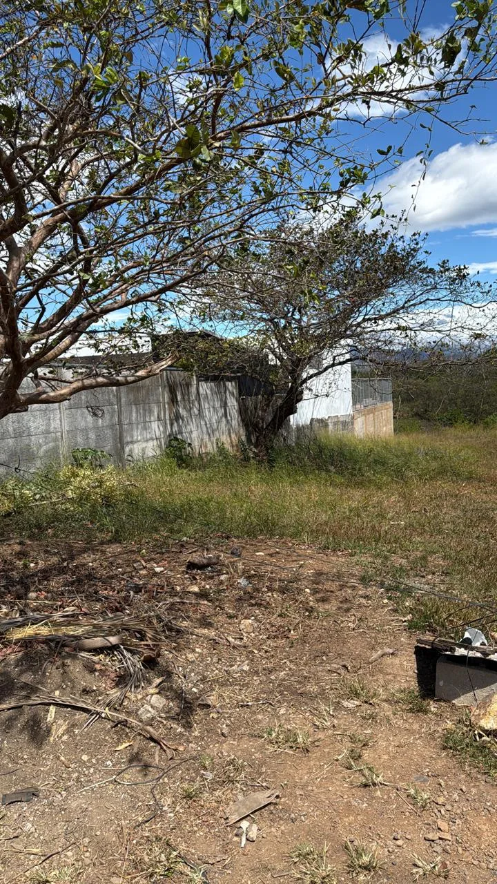 Beautiful Land for Sale in Juanilama, Esparza – Calle Molejones!