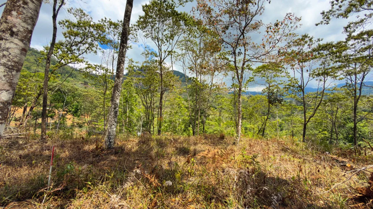 For Sale: Beautiful Mountain 1.414m2 Residential Lot in Quebradas - CR — photo 4