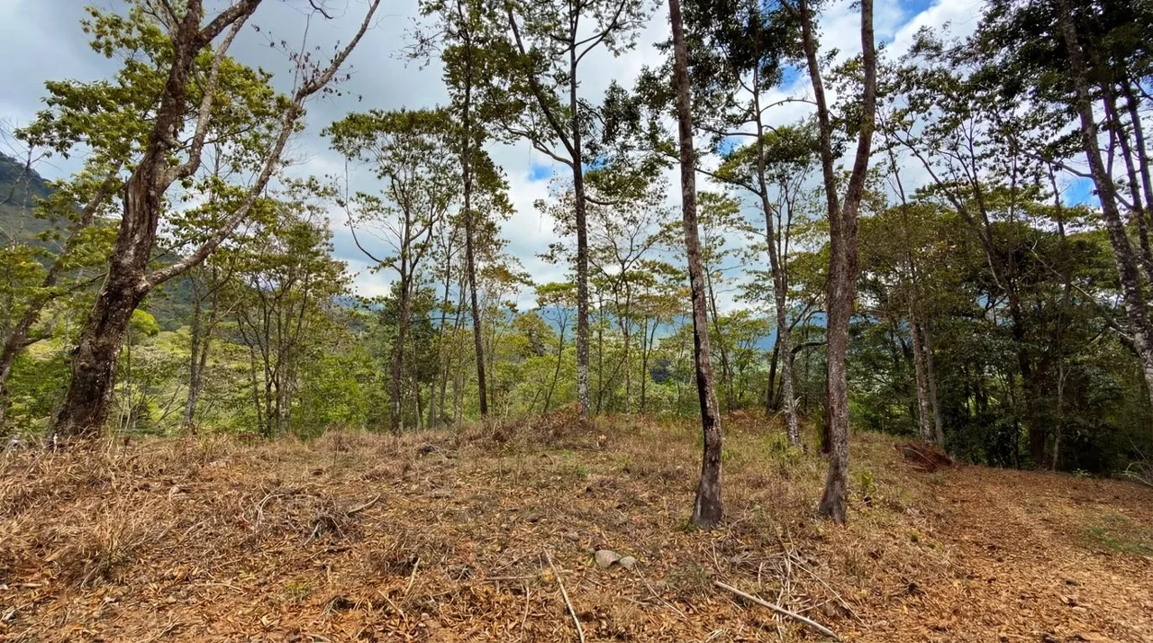 For Sale: Beautiful Mountain 1.414m2 Residential Lot in Quebradas - CR — photo 5