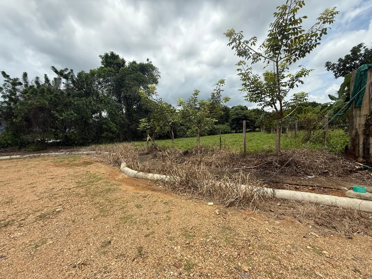 🌿 Lot for Sale in Cuatro Esquinas – Camino a Hacienda Vieja 🌿