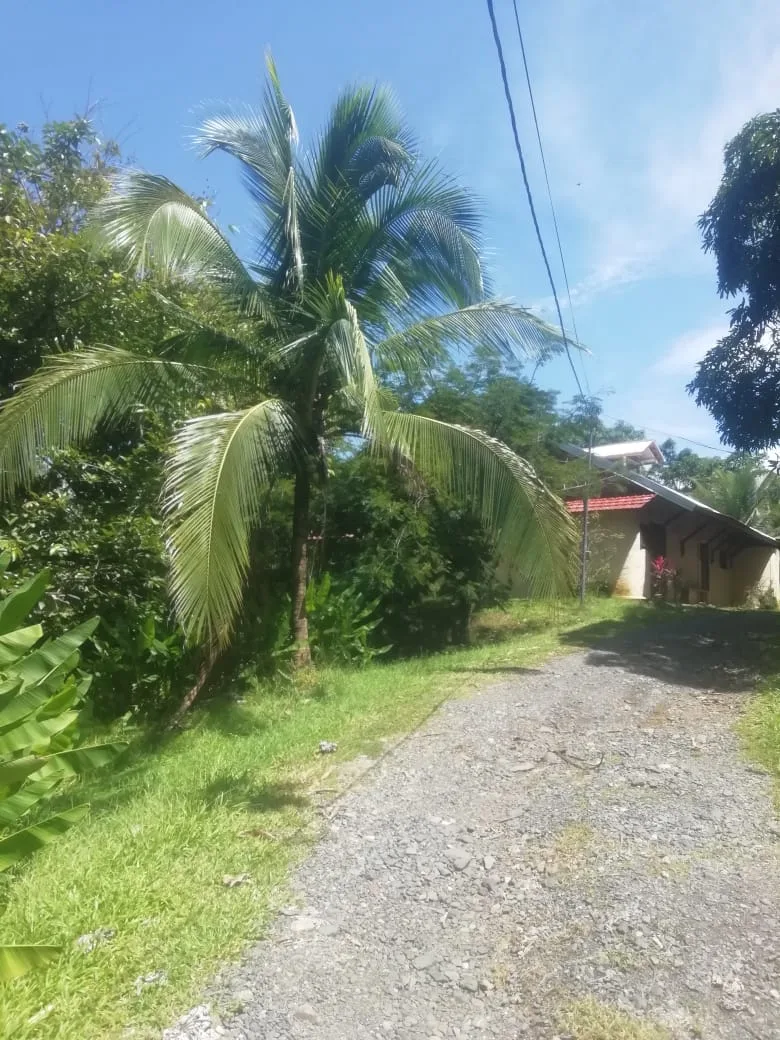 Bambu House in Turrubares – Live in Harmony with Nature — photo 4