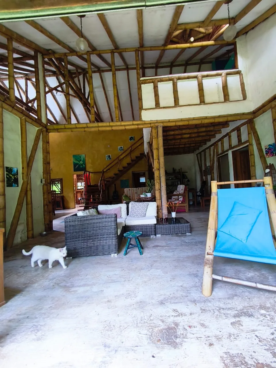 Bambu House in Turrubares – Live in Harmony with Nature — photo 5