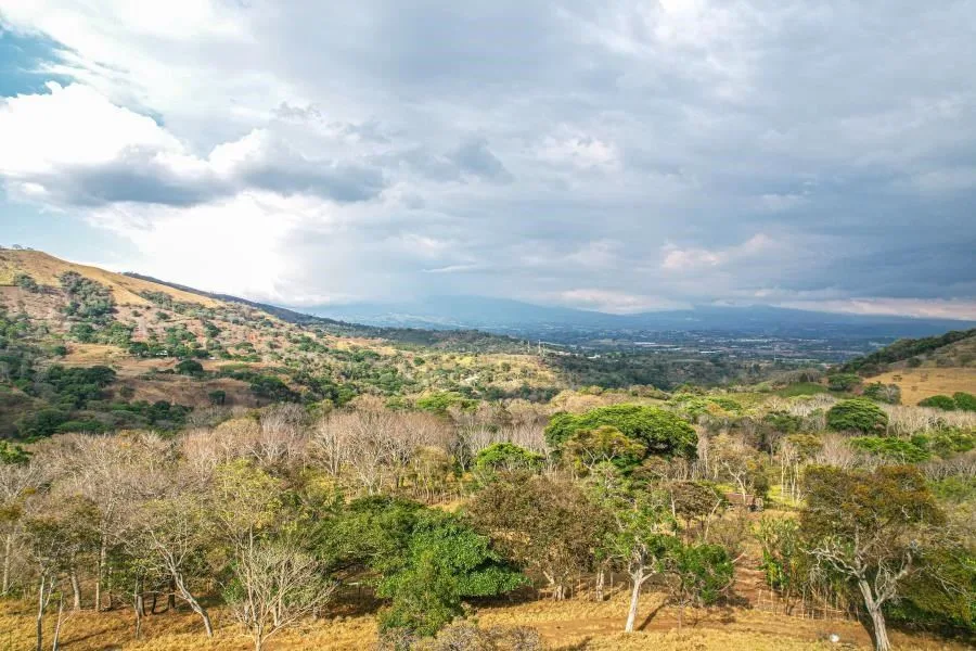 Prime 1,000 m² Lot with Beautiful Views and Ready-to-Build Terraces