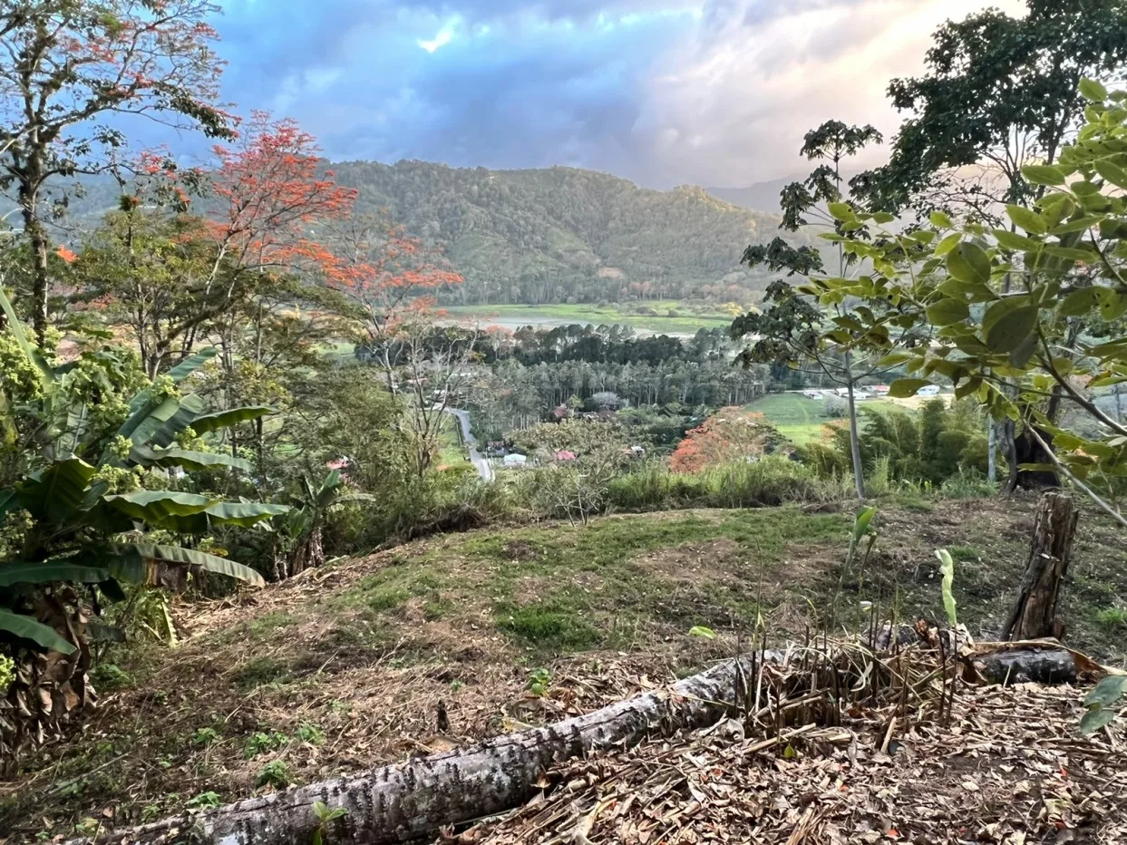 Large lot with a view of the lake. in terraces, bordered street. Paradise of Cartago, CR.