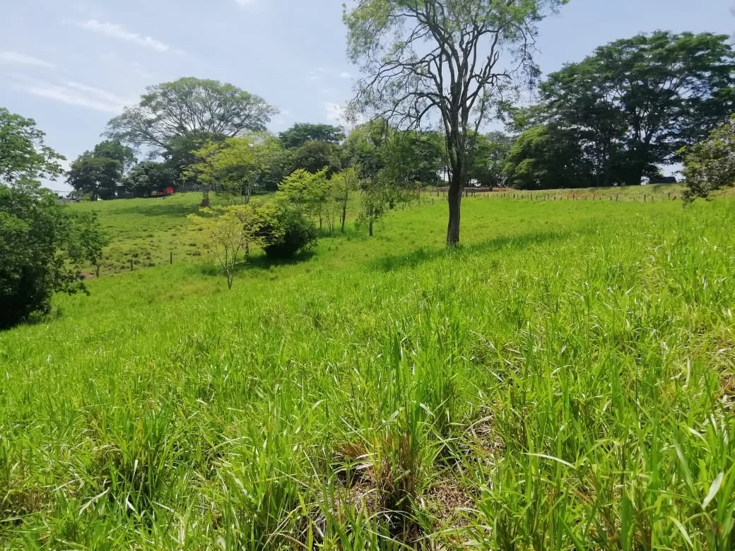 PROPERTY FOR SALE IN DEVELOPMENT AREA