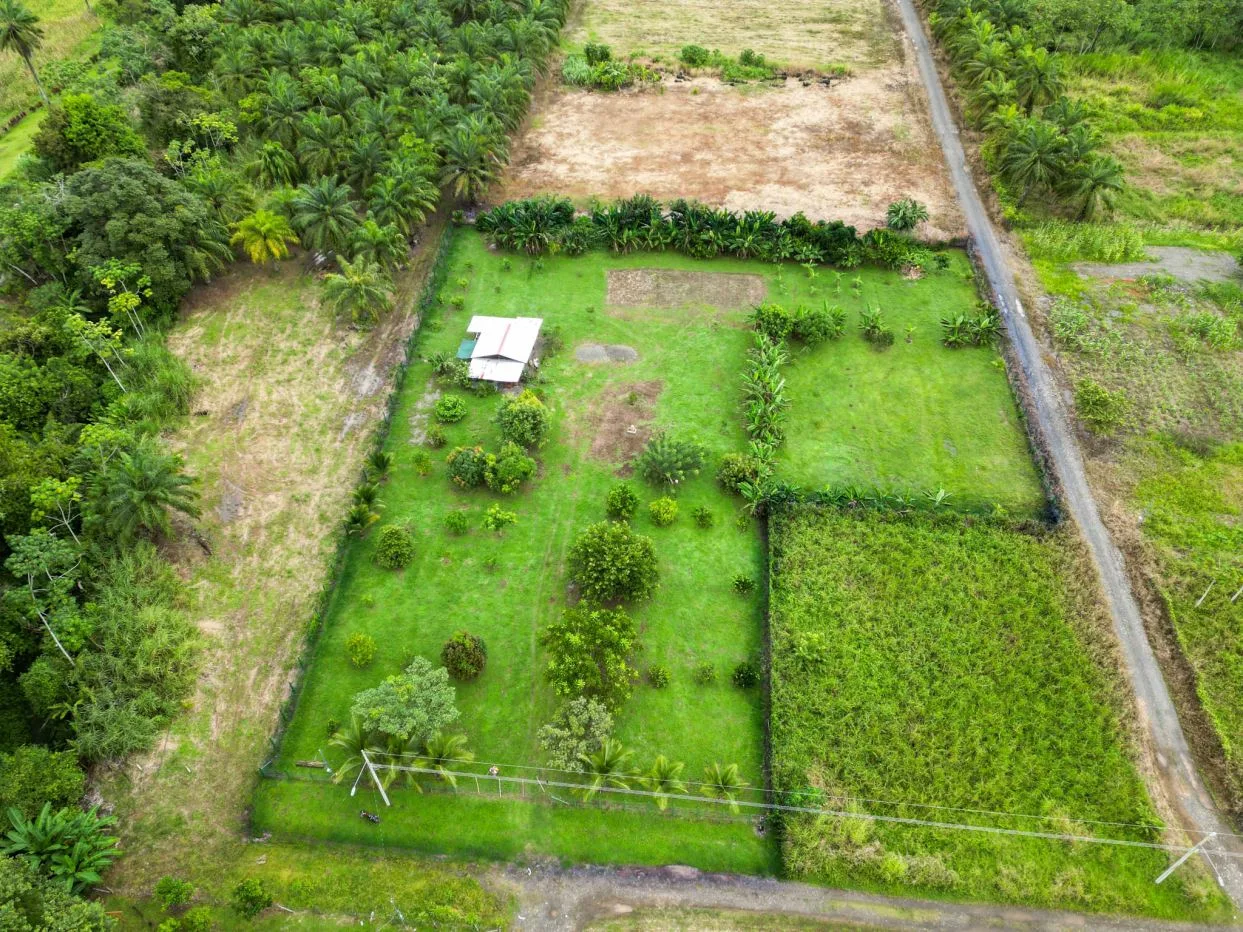 Lush Tropical Garden in Parrita - 20 mins from Quepos