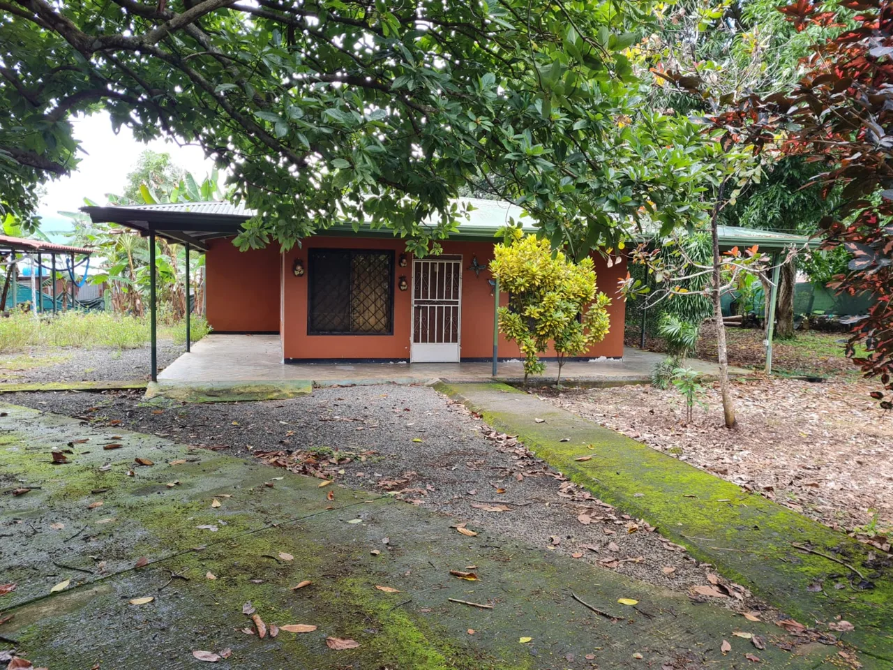 Great Investment Opportunity in Orotina! 🌟