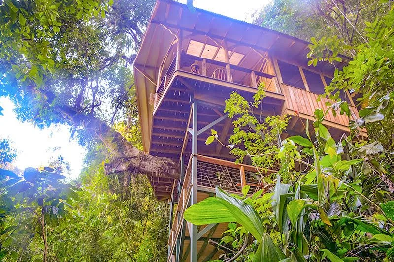 Fully Immersive Experience In The Deep Rainforest Of Southern Costa Rica