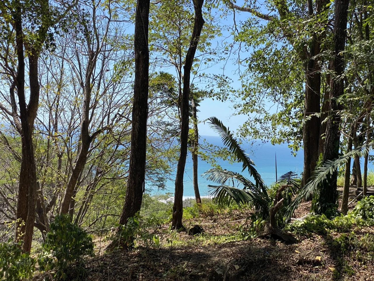Santa Teresa north premium condominium lot with Studio Saxe design