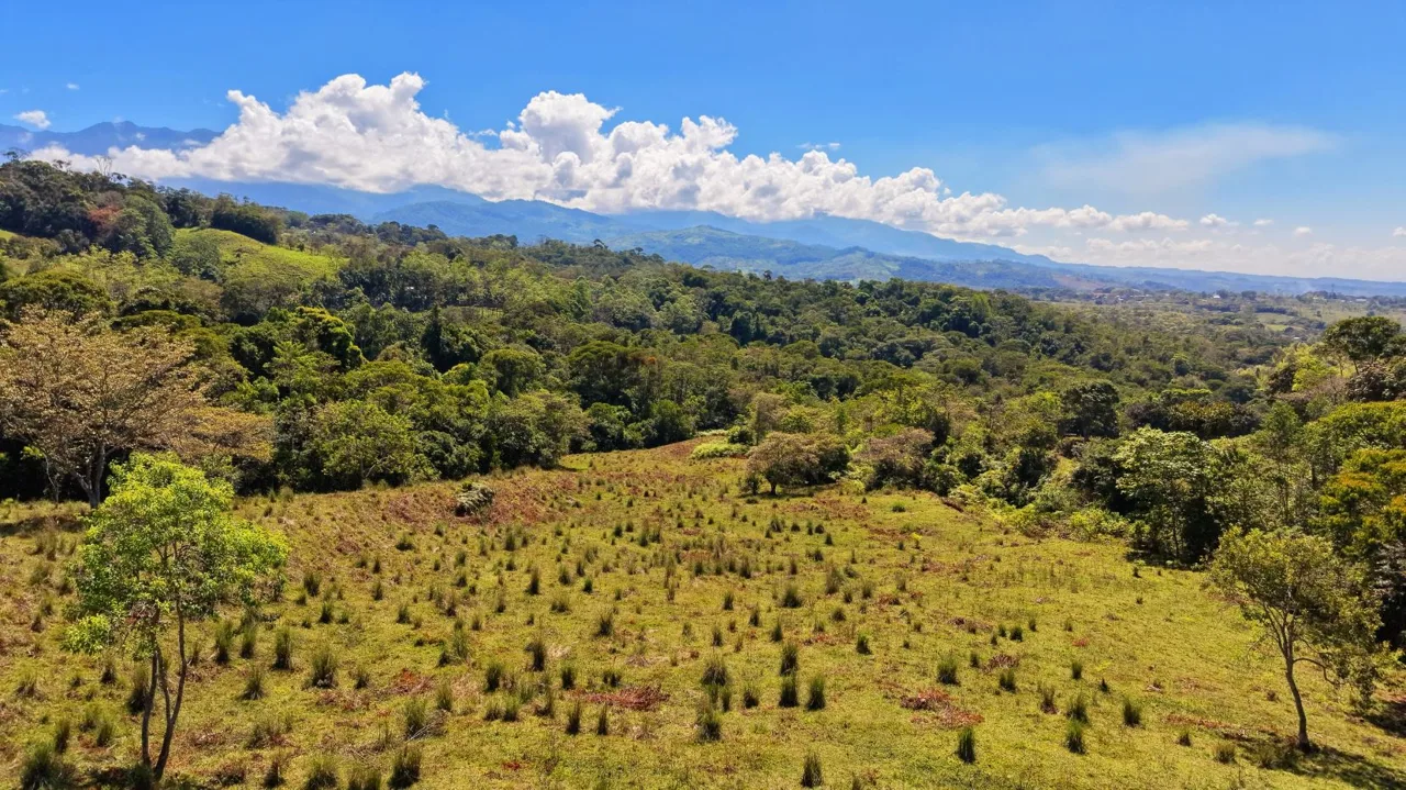 71-Acre Investment Property in Costa Rica with Mountain Views and Water Rights — photo 4