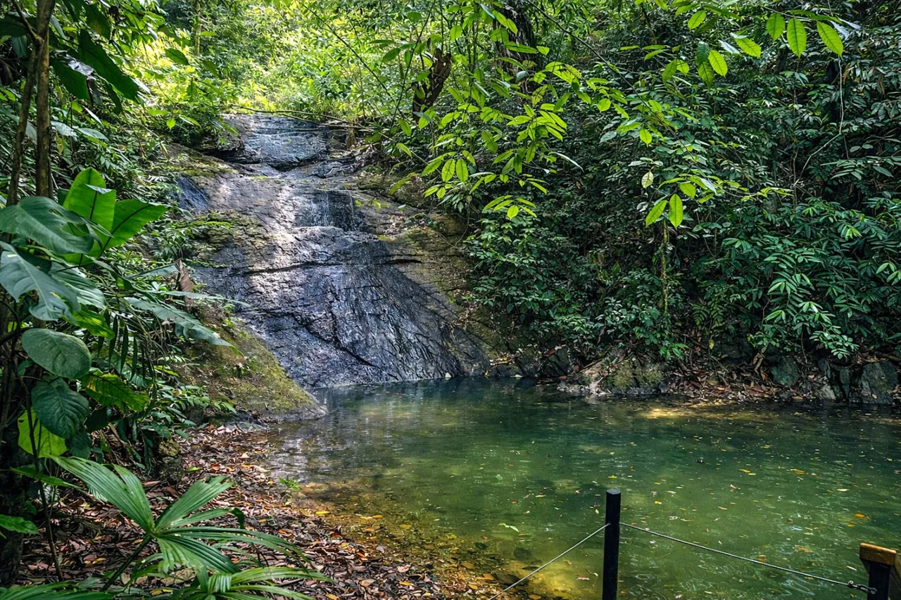 Two Premium Side-by-Side Lots at The Nest Costa Rica