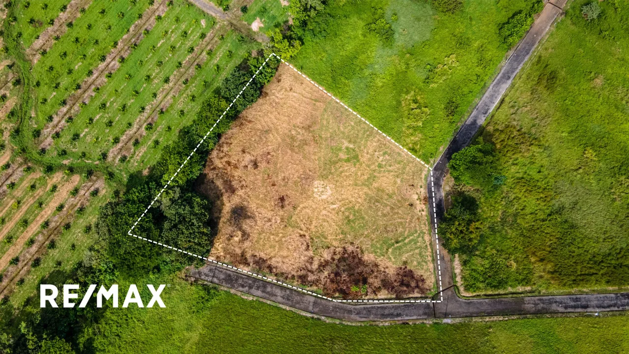 Prime Corner Lot for Sale in Columbus Heights – 9,124 m² Flat Land Perfect for Development