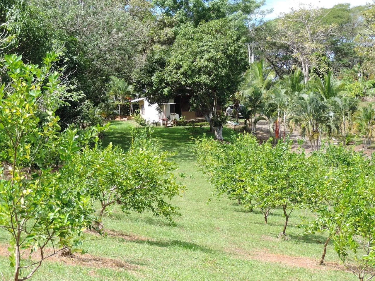 SPECTACULAR ESTATE FOR SALE