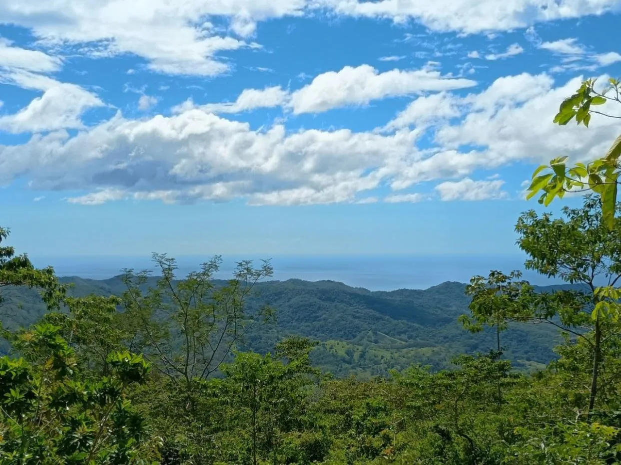Ocean-View Mountain Lots in Hojancha – 5,000 m²+ Parcels with Stunning Vistas