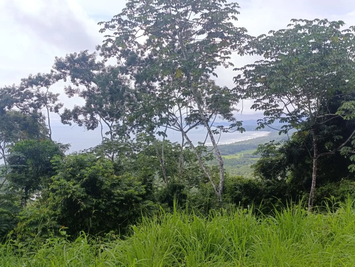 Ocean View Lot Near Coyote Beach – 1.1ha with Spectacular Pacific Views