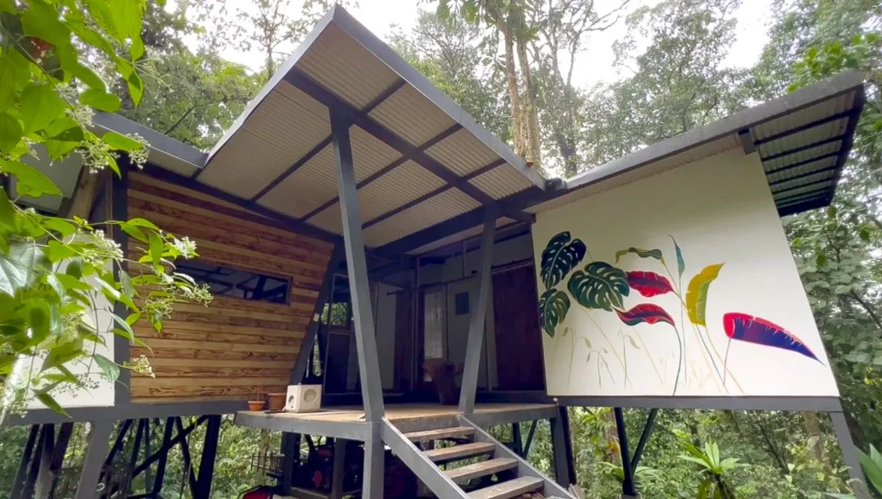 Finca BellaVista – Fully Immersive Experience In The Deep Rainforest Of Southern Costa Rica!