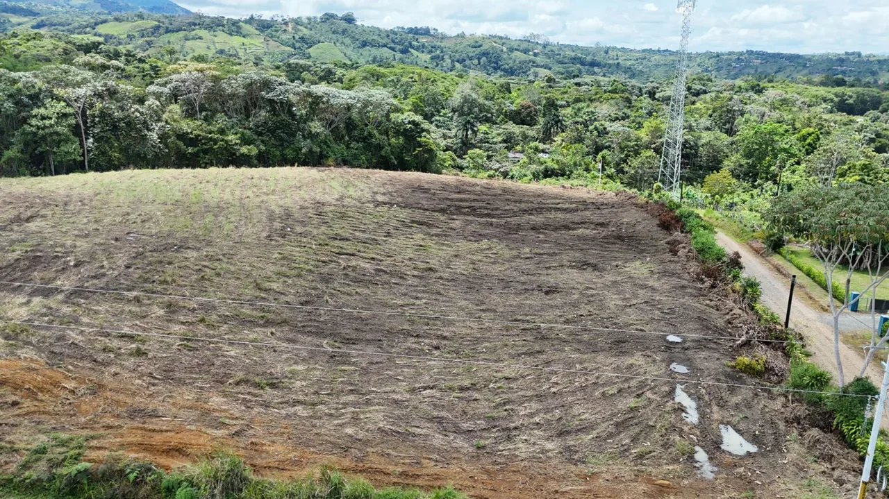 This is a treasure! Expansive Lots for sale in the unique Quizarra, Costa Rica