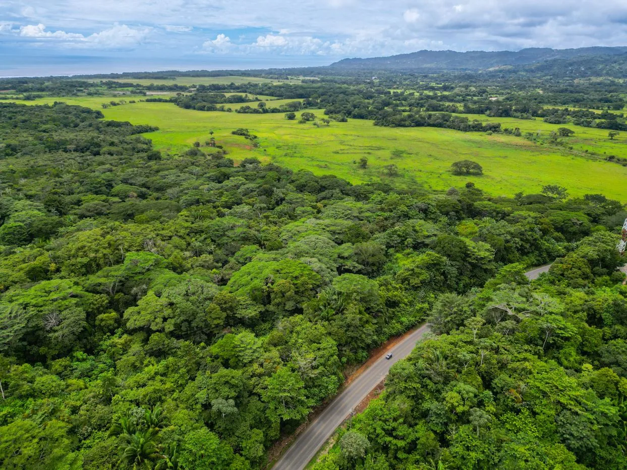 40.1 Hectares of Land in Esterillos Beach - 800 metres opening to the Costanera Highway (Seller Financing)