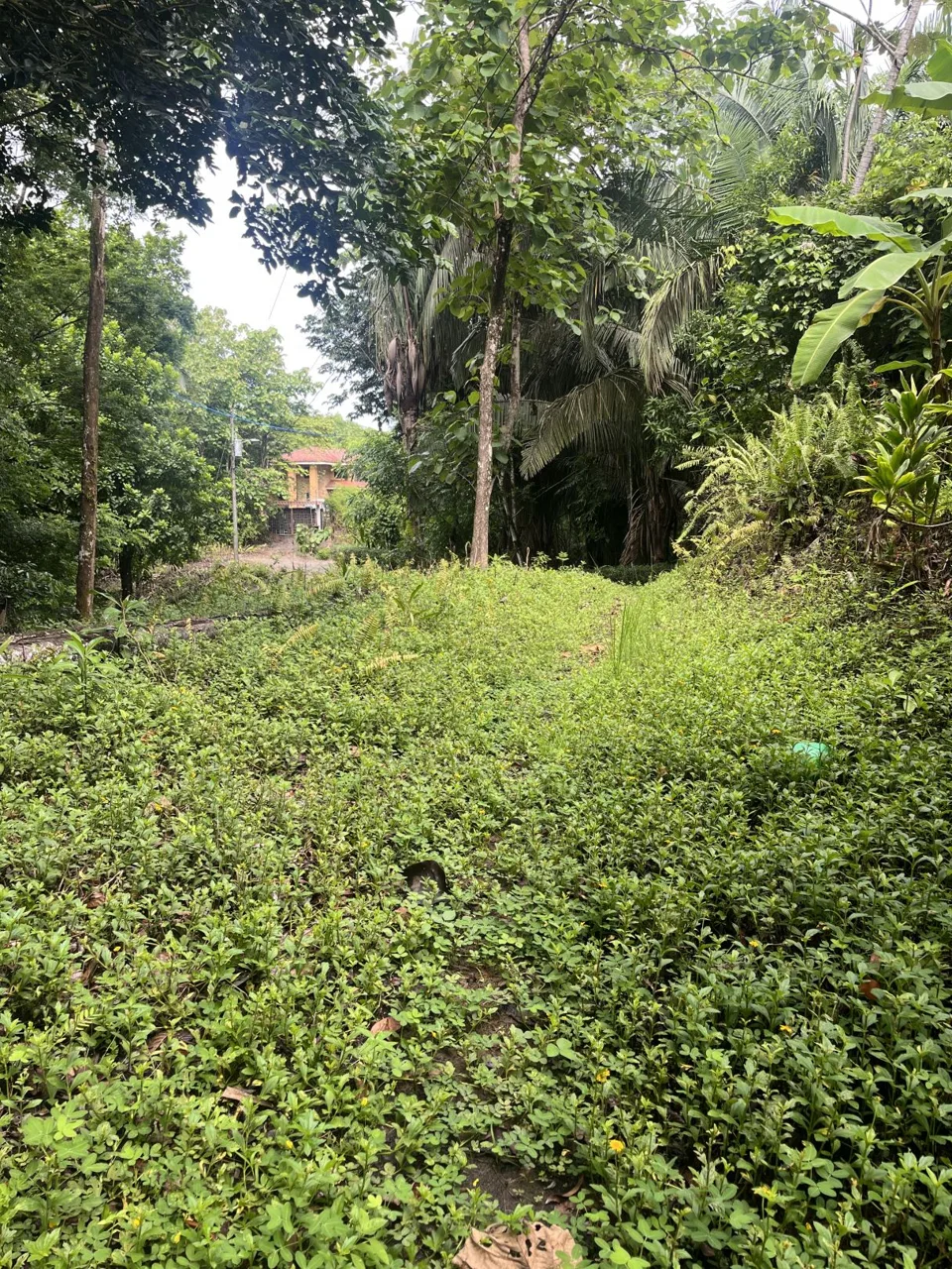 Beautiful Land for Sale in a gated community