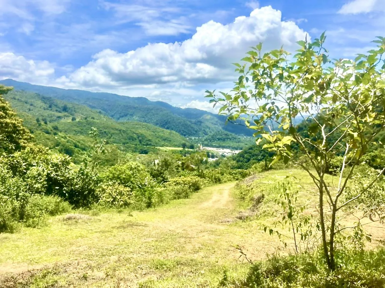 Land for Sale in Costa Rica – 814 Sustainable Acres in Costa Rica