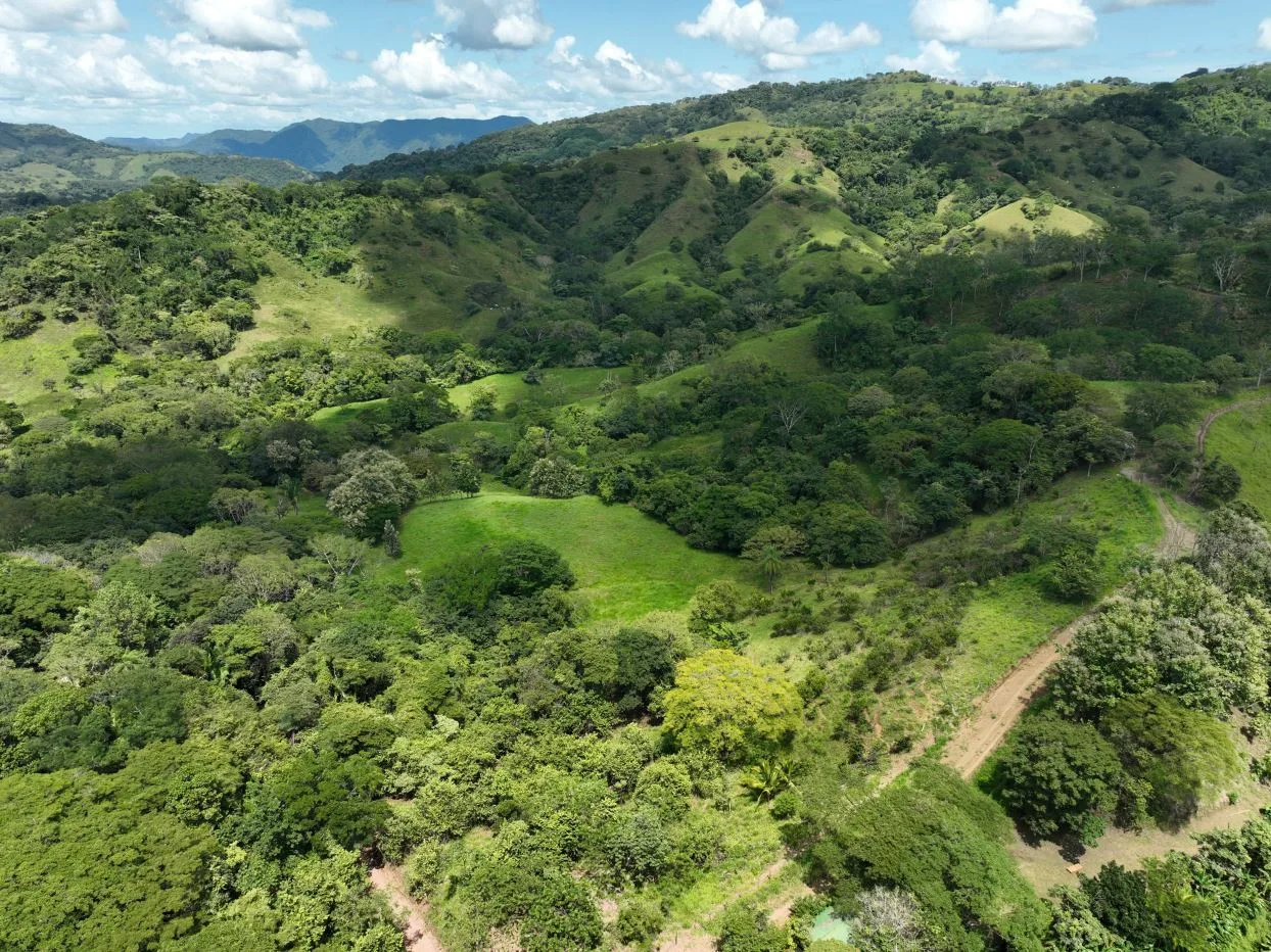 37ha Property near Year-Round River – Rio Blanco, Nandayure