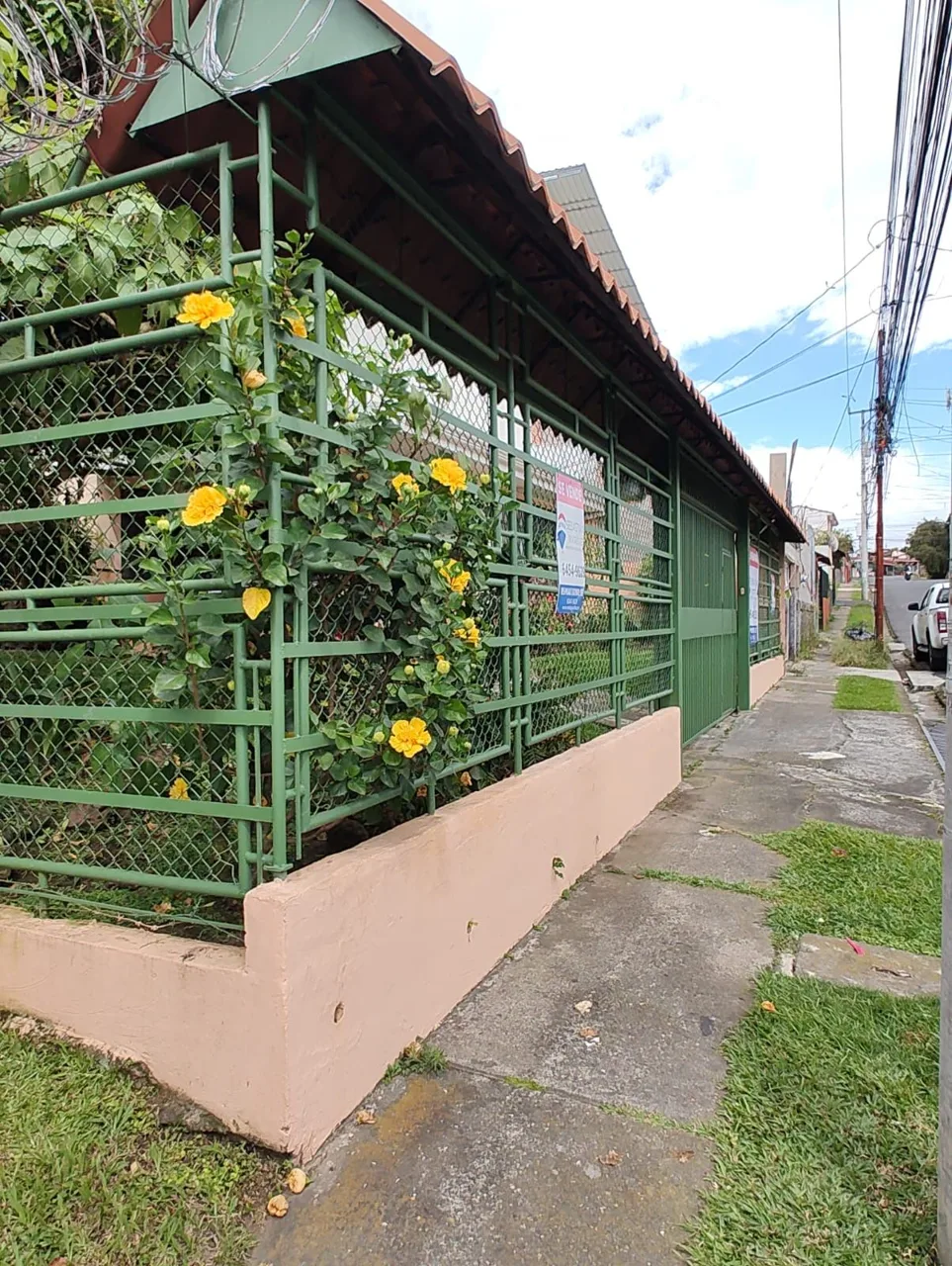 Spacious house with large gardens in Moravia, San José — photo 3