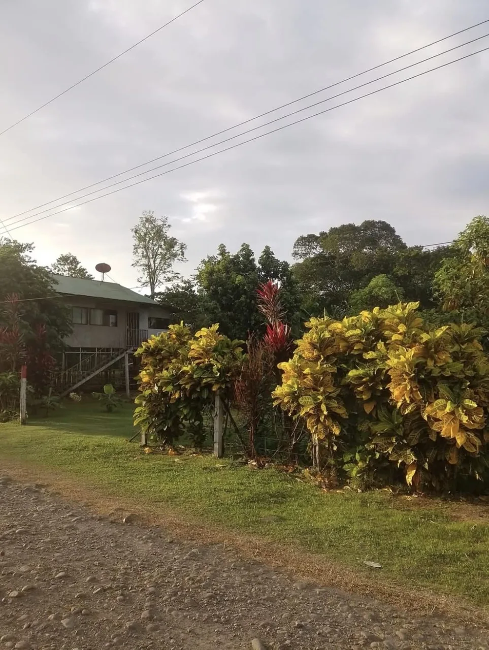  PROPERTY WITH TWO HOMES FOR SALE – PEACEFUL &amp; NATURAL SETTING