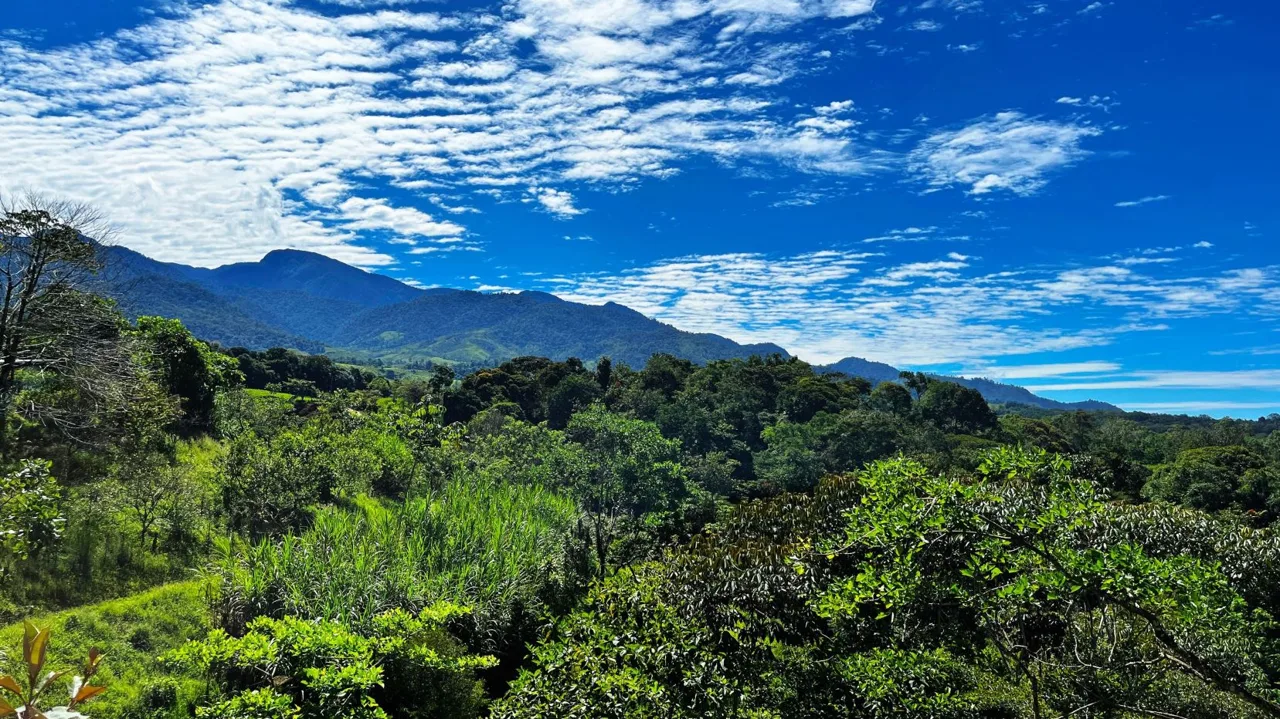 Beautiful Land for Sale in the heart of Santa Elena Near Waldorf School