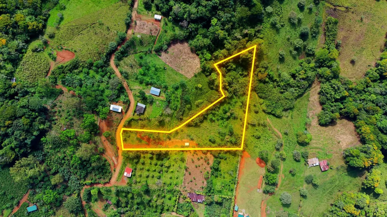 Beautiful Land for Sale in the heart of Santa Elena Near Waldorf School — photo 2