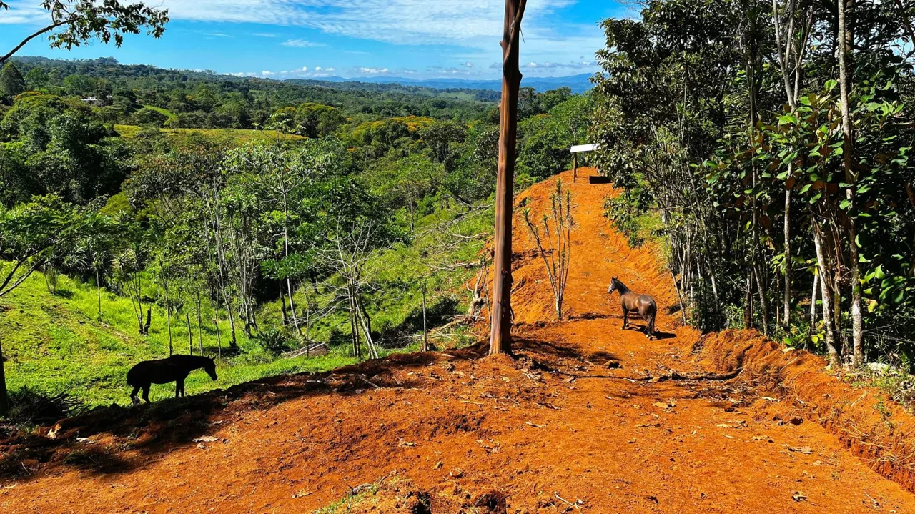 Beautiful Land for Sale in the heart of Santa Elena Near Waldorf School — photo 3