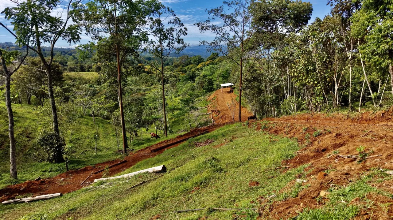 Beautiful Land for Sale in the heart of Santa Elena Near Waldorf School — photo 4