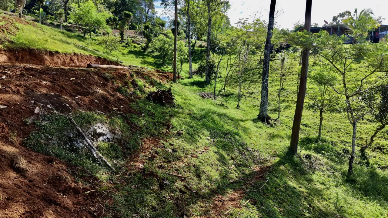 Beautiful Land for Sale in the heart of Santa Elena Near Waldorf School — photo 5