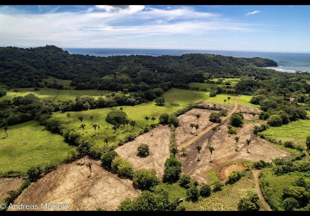 5000m² (1.2 Acre) Lots Near San Miguel Beach – Ready to Build