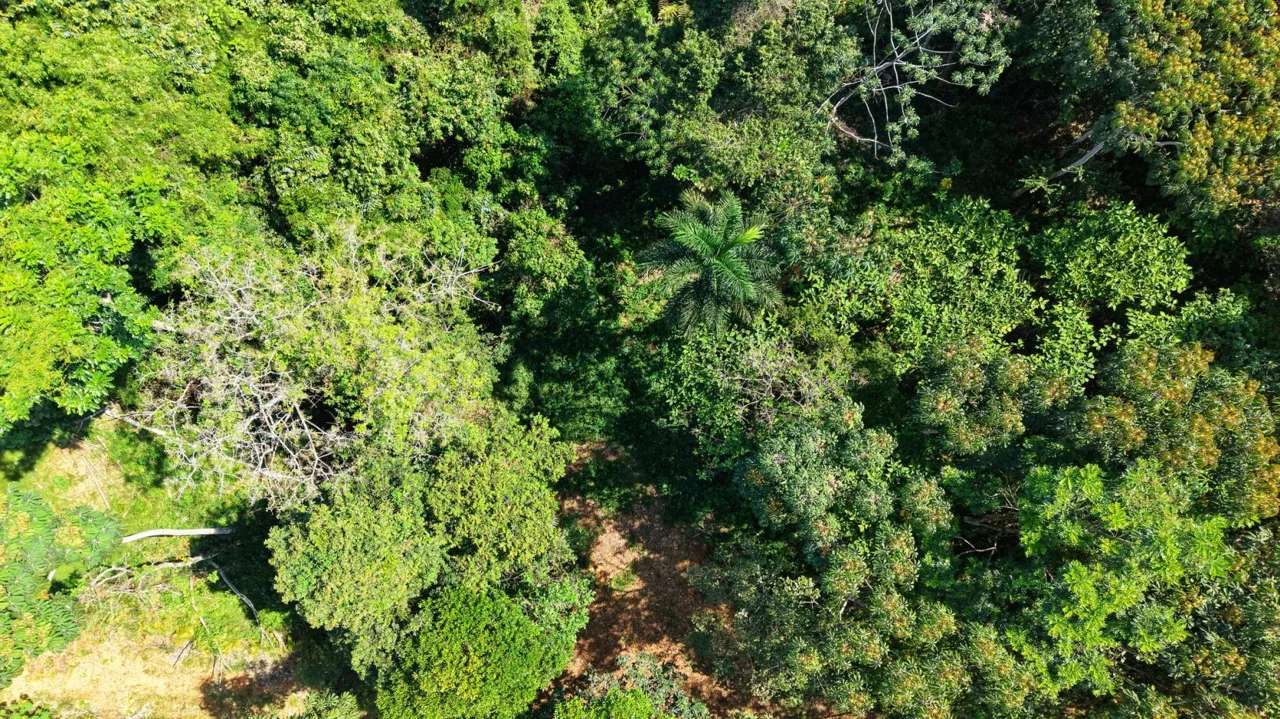 Land For Sale 1.8 Hectares Fully Serviced &amp; Nature-Surrounded in Quizarra Ready to Build