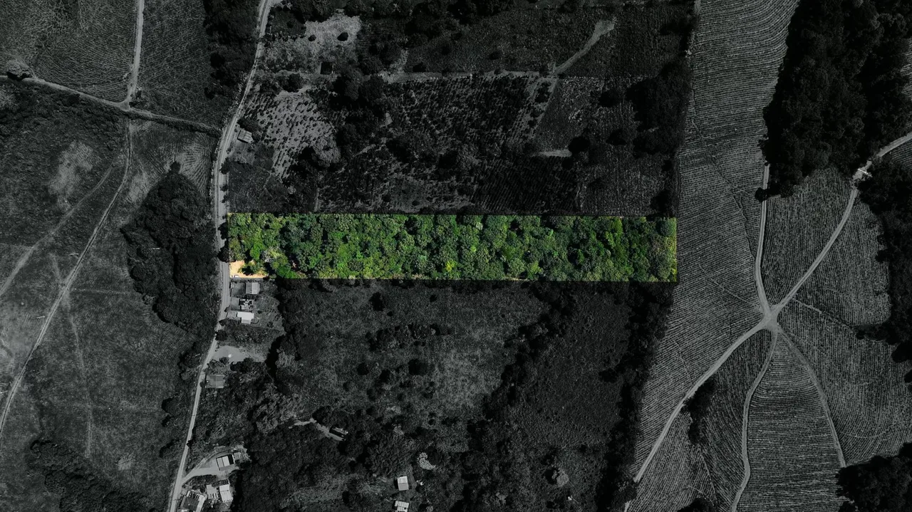 Land For Sale 1.8 Hectares Fully Serviced &amp; Nature-Surrounded in Quizarra Ready to Build — photo 2