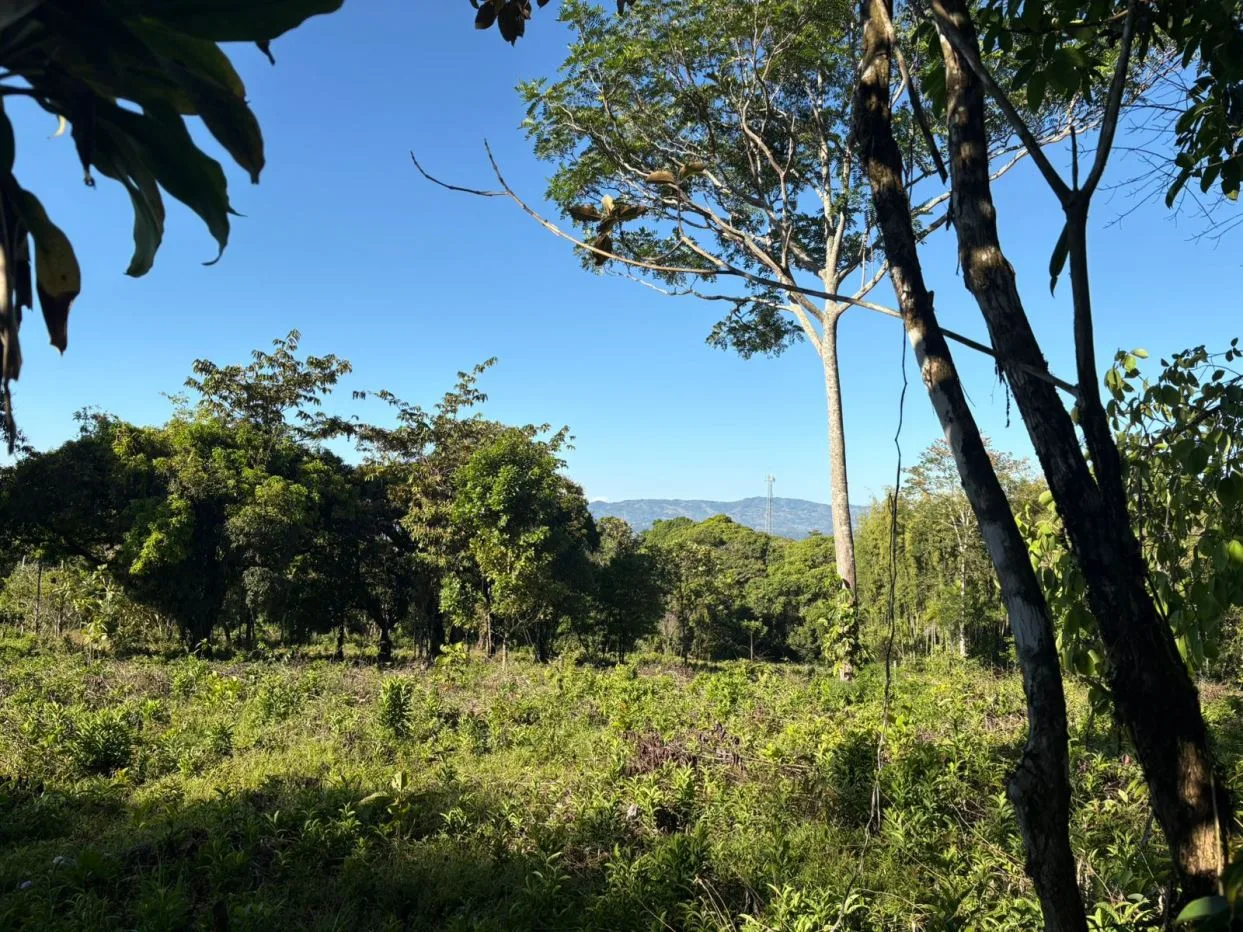 Land For Sale 1.8 Hectares Fully Serviced &amp; Nature-Surrounded in Quizarra Ready to Build — photo 3