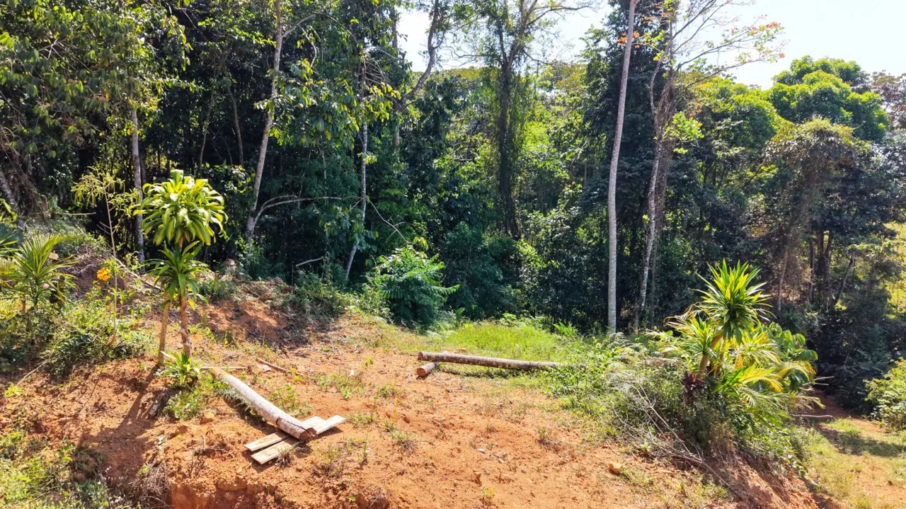 Land For Sale 1.8 Hectares Fully Serviced &amp; Nature-Surrounded in Quizarra Ready to Build — photo 4