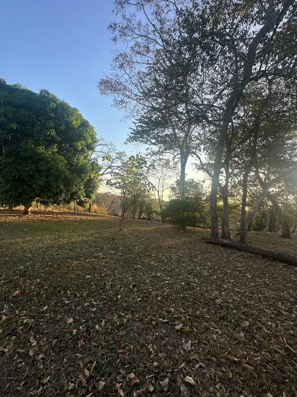 Your paradise awaits in Bajamar Beach, Sale
