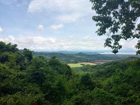 19 ha (46 acres) Gulf-View Property with Tropical Forest &amp; Large Building Plateau