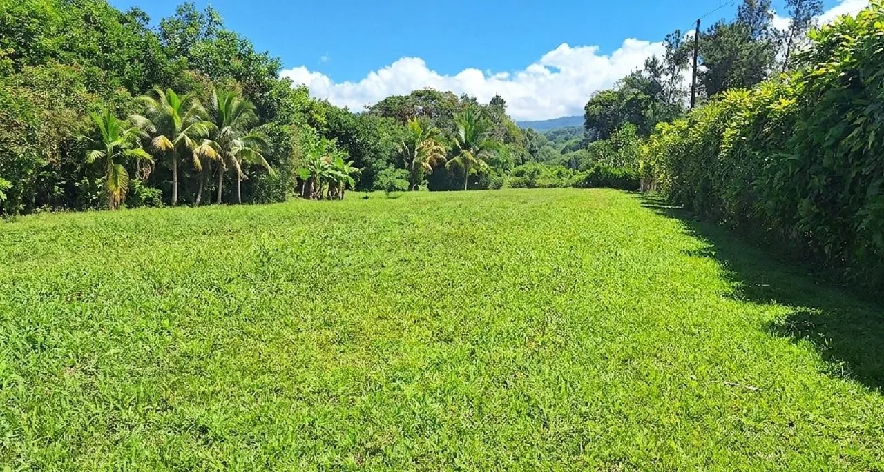 Hidden Tropical Gem, stunning Farm for sale in Santa Elena.