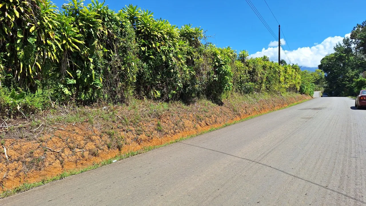 Hidden Tropical Gem, stunning Farm for sale in Santa Elena. — photo 2