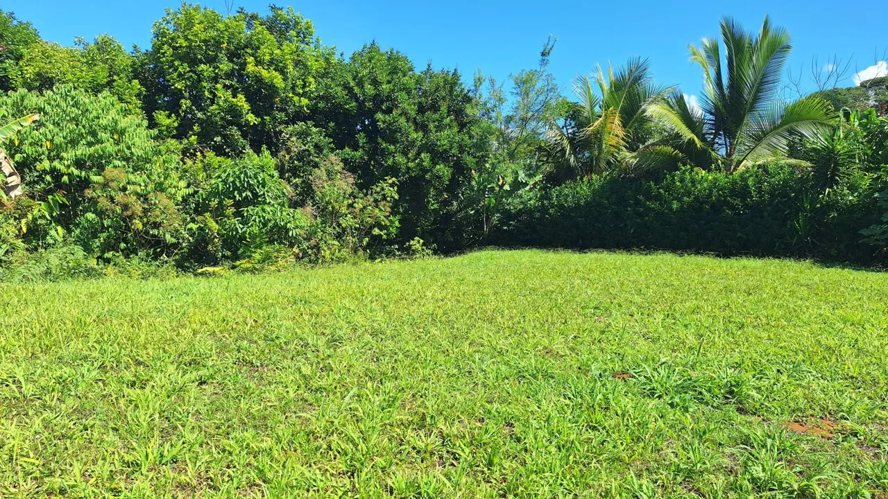 Hidden Tropical Gem, stunning Farm for sale in Santa Elena. — photo 3