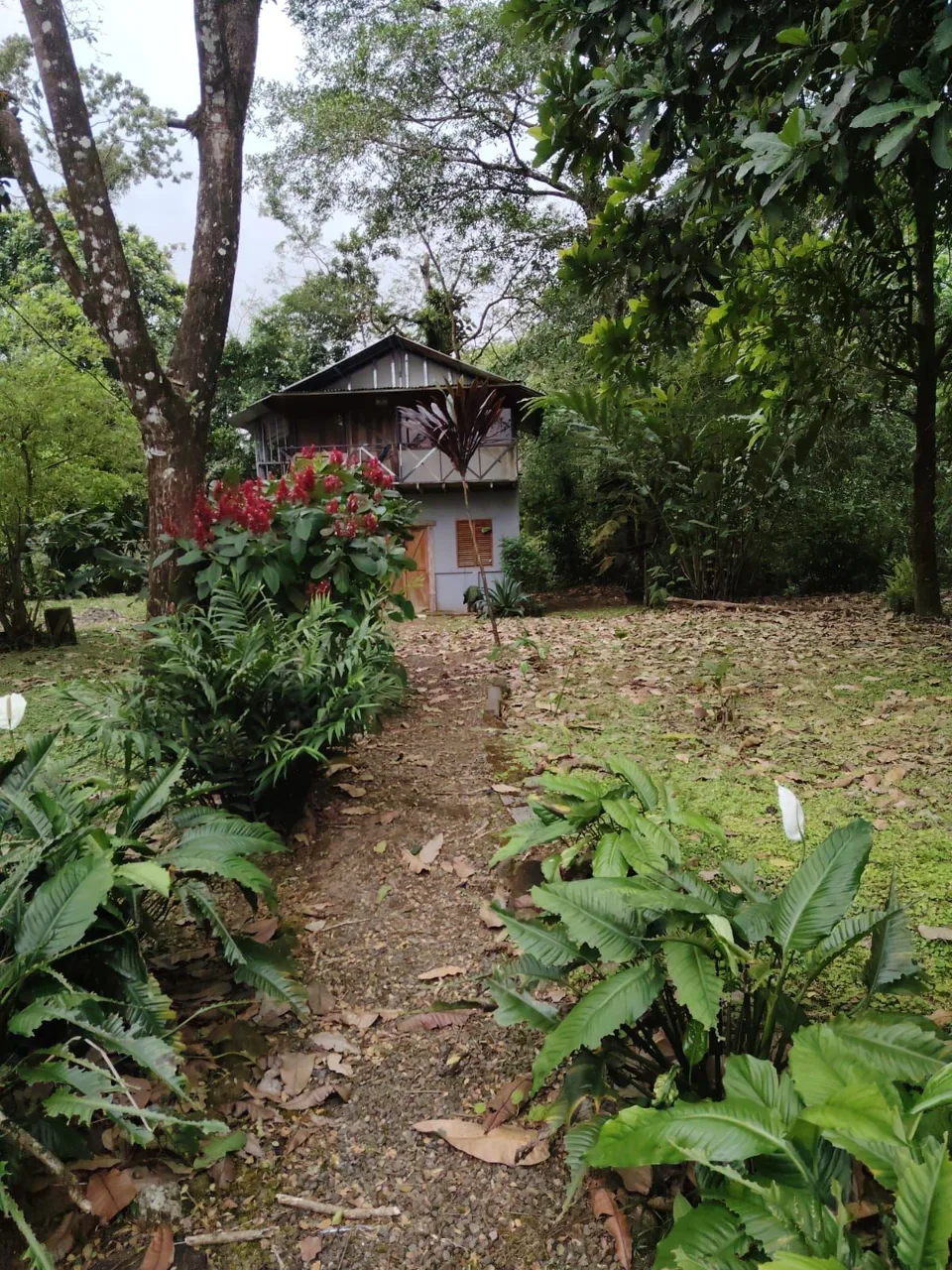 Eco-Tourism Property for Sale – 9,543 m² in Bijagua, Upala