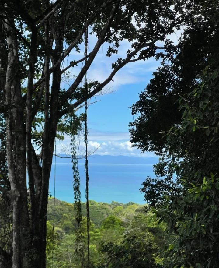 Pavones Jungle Ocean View | 3.8 Acres Near World-Class Surf