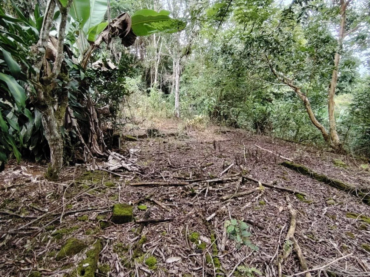 Secluded Lot For Sale - Nature, Privacy &amp; Convenience In Pérez Zeledón