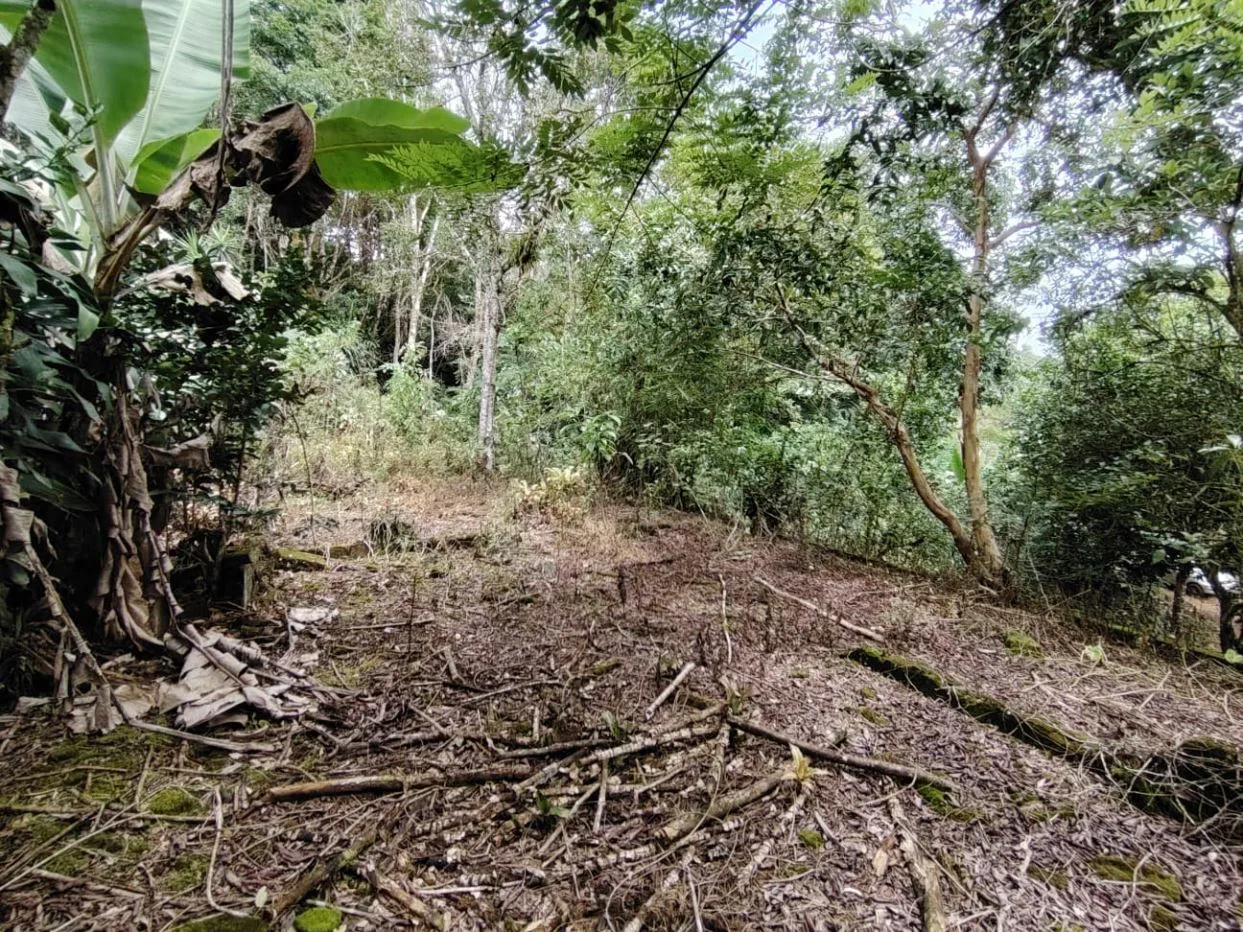Secluded Lot For Sale - Nature, Privacy &amp; Convenience In Pérez Zeledón — photo 2