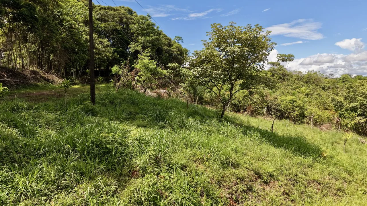 274 m² Lot for Sale in Tres Rios, Perez Zeledon – Stunning Views, Perfect for Airbnb or Cabin — photo 2